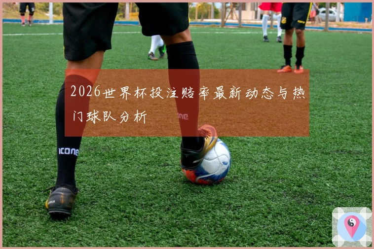 2026世界杯投注赔率最新动态与热门球队分析