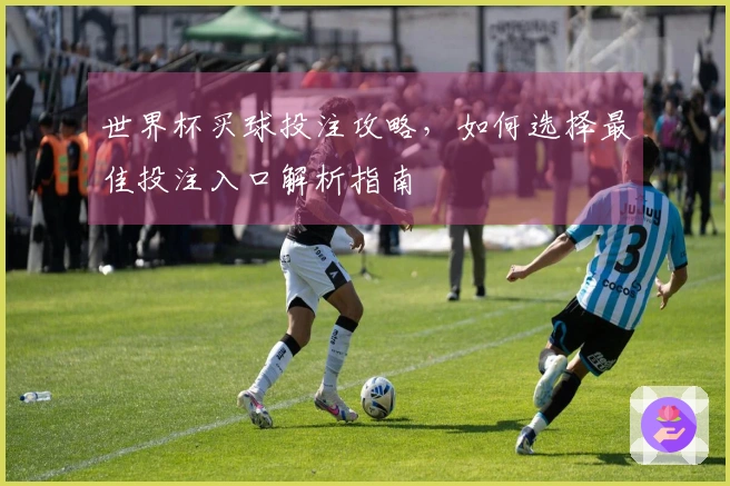世界杯买球投注攻略，如何选择最佳投注入口解析指南