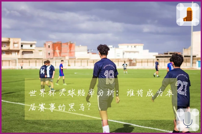 世界杯买球赔率分析:谁将成为本届赛事的黑马?