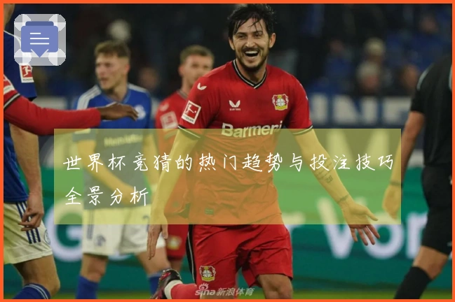 世界杯竞猜的热门趋势与投注技巧全景分析