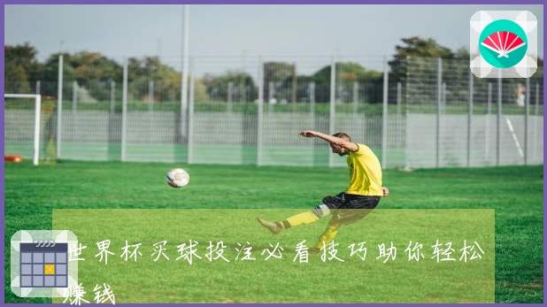 世界杯买球投注必看技巧助你轻松赚钱