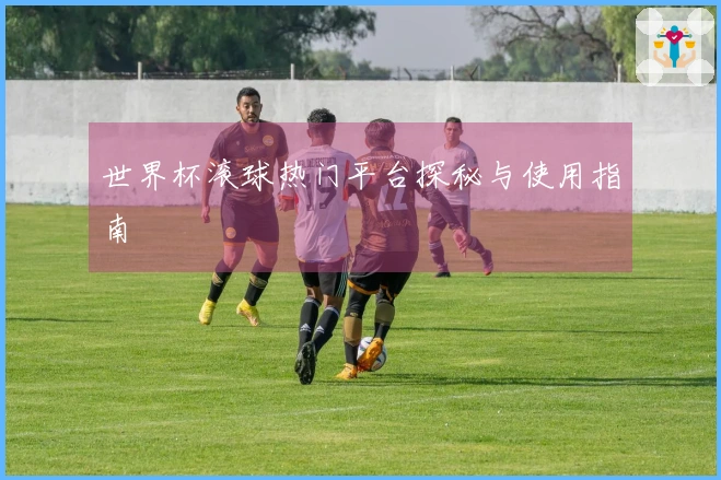 世界杯滚球热门平台探秘与使用指南