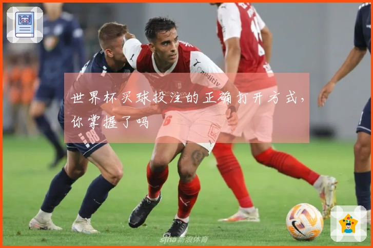 世界杯买球投注的正确打开方式，你掌握了吗