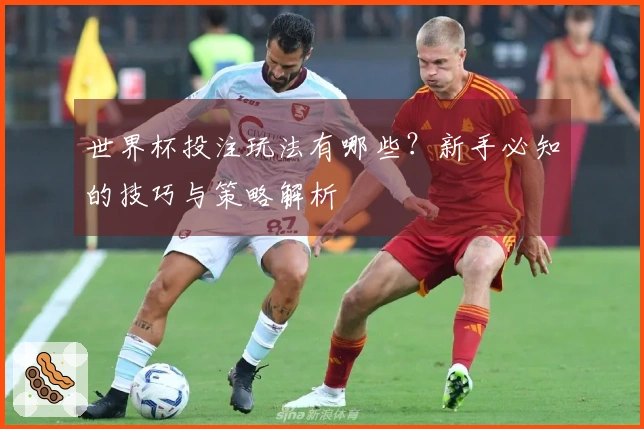 世界杯投注玩法有哪些？新手必知的技巧与策略解析