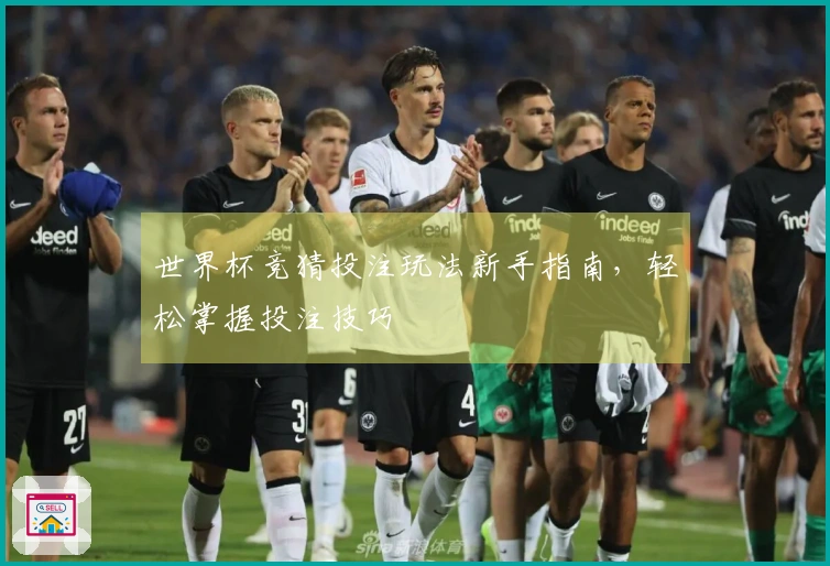 世界杯竞猜投注玩法新手指南,轻松掌握投注技巧
