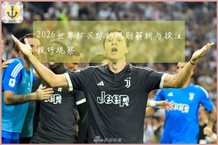 2026世界杯买球的规则解析与投注技巧观察