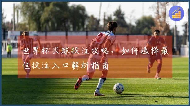 世界杯买球投注攻略,如何选择最佳投注入口解析指南