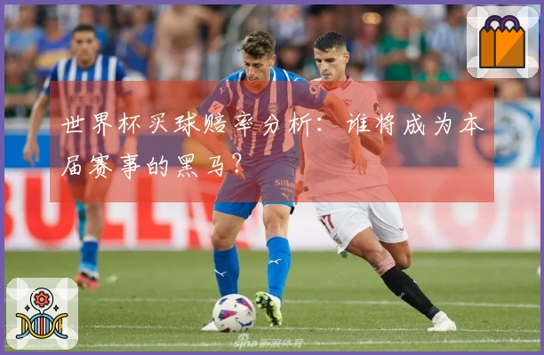 世界杯买球赔率分析：谁将成为本届赛事的黑马？