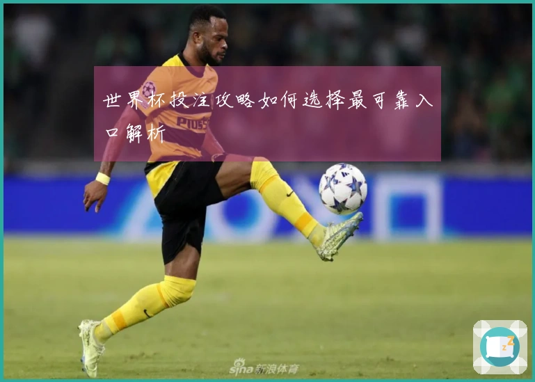 世界杯投注攻略如何选择最可靠入口解析