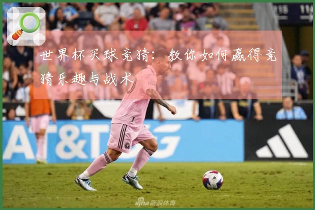 世界杯买球竞猜:教你如何赢得竞猜乐趣与战术