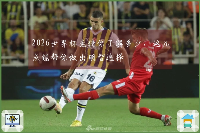 2026世界杯竞猜你了解多少，这几点能帮你做出明智选择
