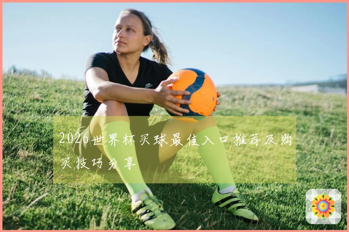 2026世界杯买球最佳入口推荐及购买技巧分享