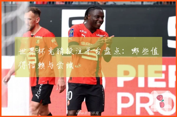 世界杯竞猜投注平台盘点：哪些值得信赖与尝试