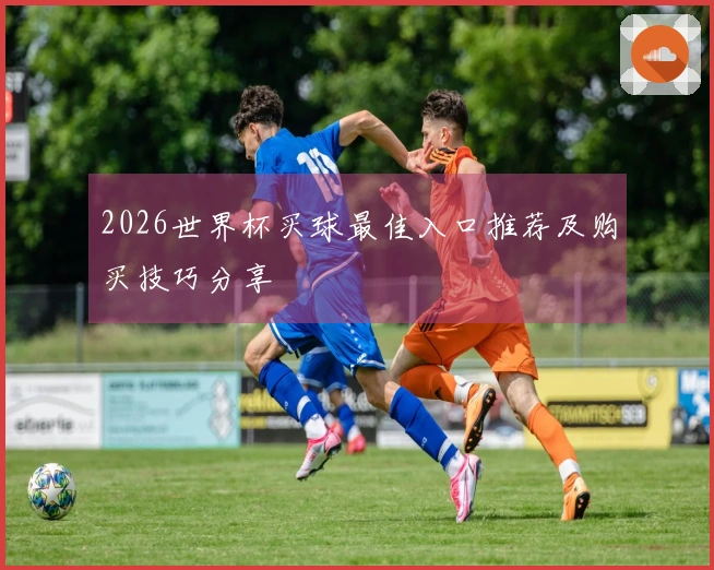 2026世界杯买球最佳入口推荐及购买技巧分享