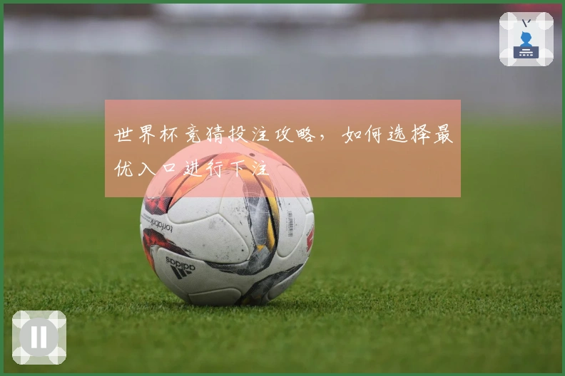 世界杯竞猜投注攻略，如何选择最优入口进行下注