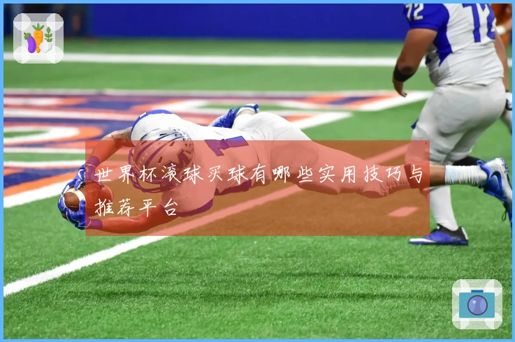 世界杯滚球买球有哪些实用技巧与推荐平台