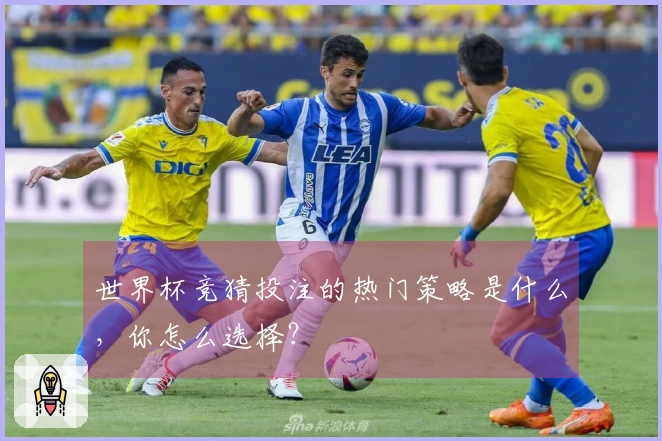 世界杯竞猜投注的热门策略是什么，你怎么选择？